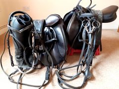 My saddles and bridles