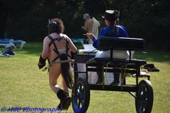 Mistress Elaina driving a pony at O&I